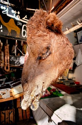 Medina of Marrakesh