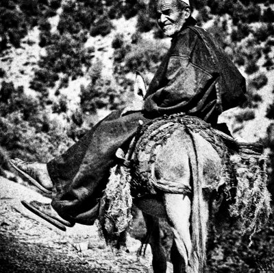 Man on a Donkey