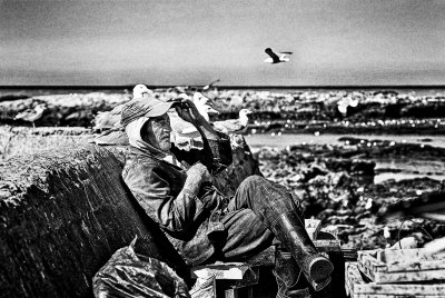 Essaouira Fisherman