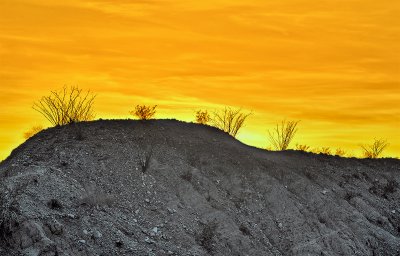 Anza Borrego Desert