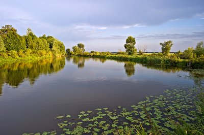 Ponds in Stary Lubliniec