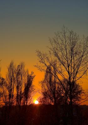 Mazovian Sunset