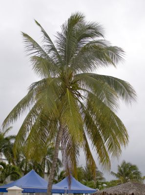 IMG_8977w.jpg