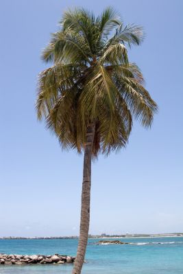 IMG_9400w.jpg
