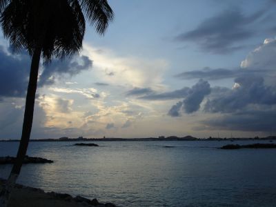 DSC01460s.jpg