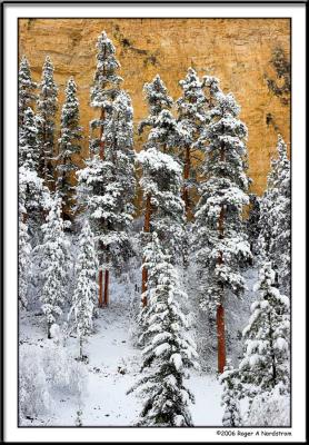 Spearfish Canyon