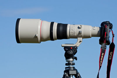 Canon EF 800mm f5.6L IS USM lens