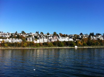 IMG_0379p.jpg