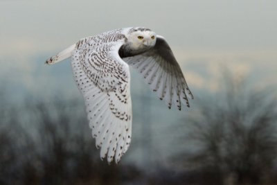 D7K_7608p.jpg