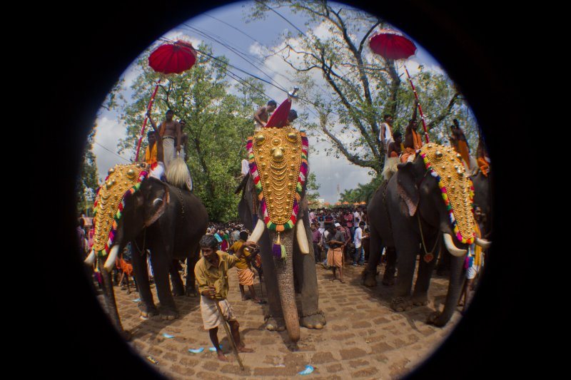 decked up.jpg
