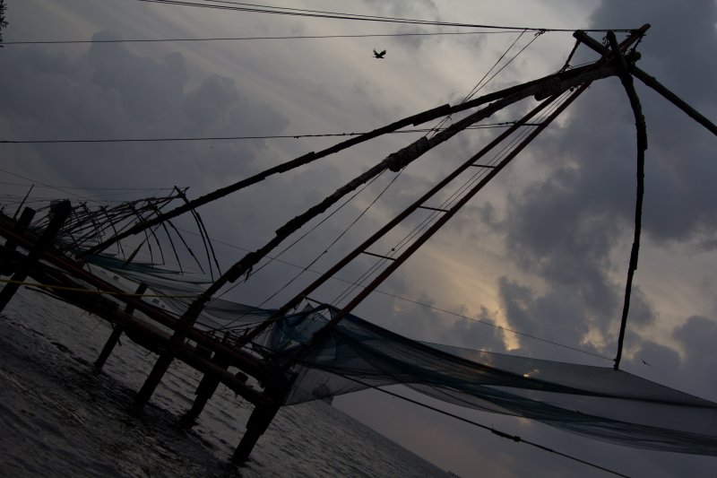 chinese nets 2.jpg