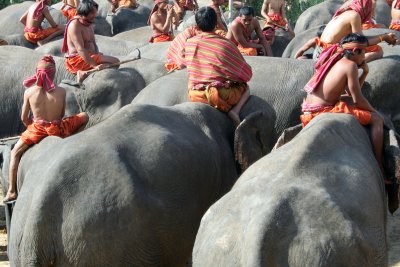 atop elephants.jpg