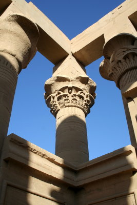 Papyrus columns.jpg