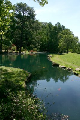 Japanese Gardens.