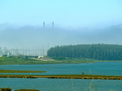 Elkhorn Slough Scene 1.jpg