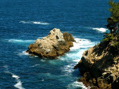 Pt. Lobos Coast Scene 1