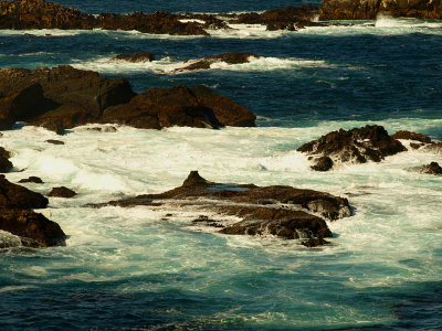 Point Lobos Scene 3.jpg