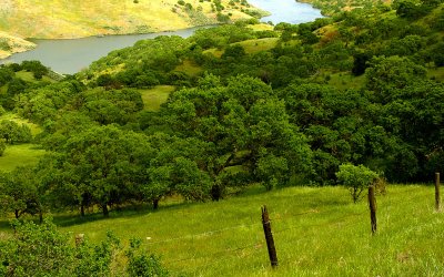 Pacheco State Park Scene 1.jpg