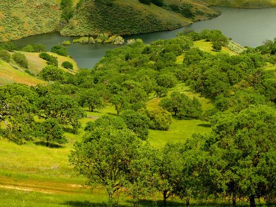 Pacheco State Park Scene 2.jpg