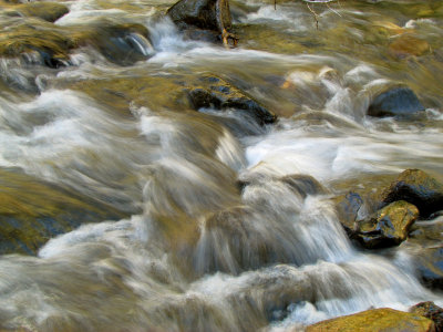 Rivers & Streams