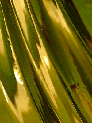 Flower Stems 3.jpg