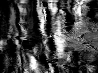 Bear River Reflections.jpg