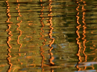 Bridge Reflections.jpg