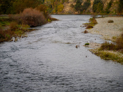 River in Fall.jpg