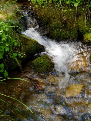 Unnamed Creek.jpg