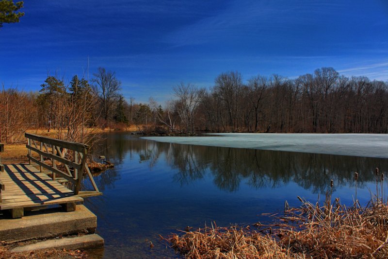 Pond Landscape in HDR<BR>March 30, 2011