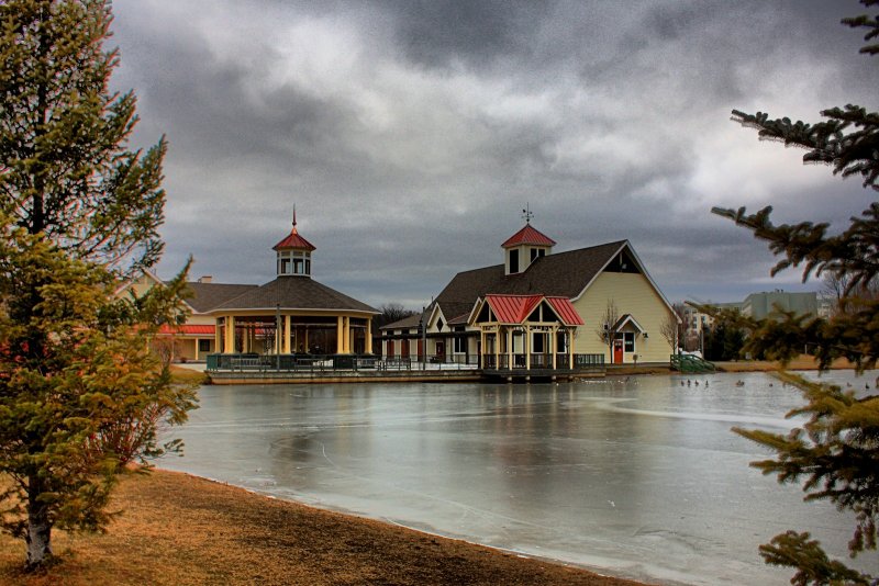 Park in HDR<BR>January 25, 2012