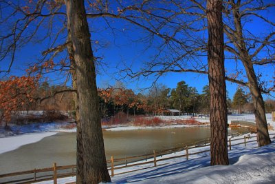 Park Landscape in HDRFebruary 23, 2011