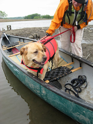 Glinda in a CanoeMay 14, 2011