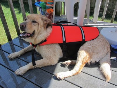 Glinda at Pool<BR>July 17, 2011