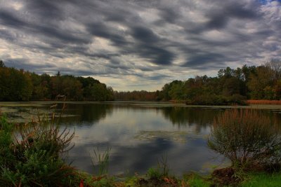 Pond Landscape in HDR<BR>October 5, 2011