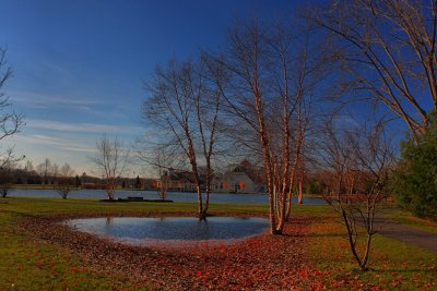 Late Autumn in HDRNovember 19, 2011