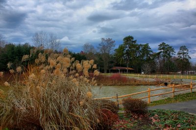 More Autumn in HDR<BR>November 19, 2011
