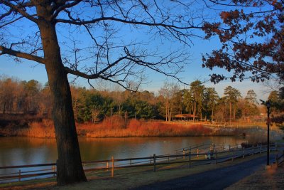 Park in the Morning in HDR<BR>January 7, 2012