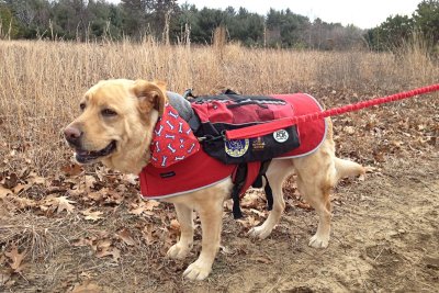 Glinda HikingJanuary 8, 2012