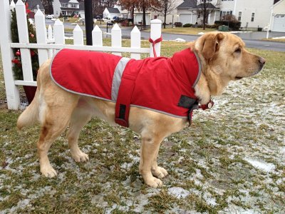 Glinda Outside<BR>January 27, 2012