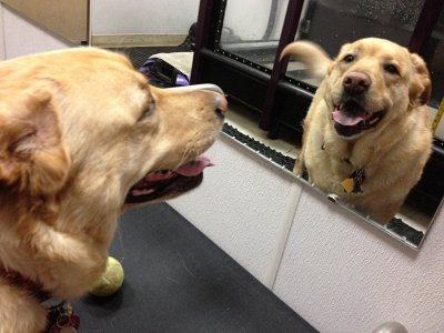 Glinda Looking in the Mirror<BR>February 8, 2012