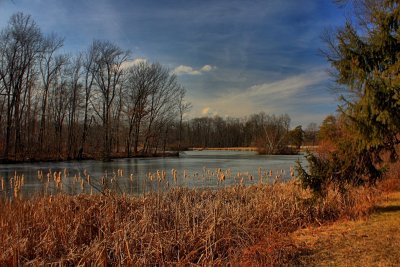 Local Pond in HDR<BR>February 10, 2012