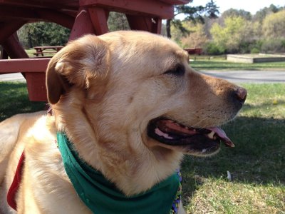 Glinda at the Park<BR>April 14, 2012