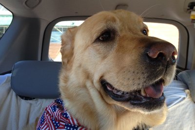 Glinda in the Car<BR>June 27, 2012