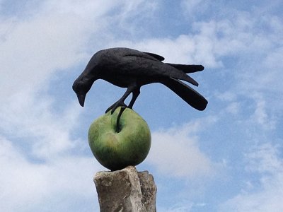 Crow on AppleSeptember 8, 2012