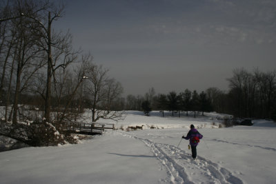 Crosscountry SkiingJanuary 5, 2008