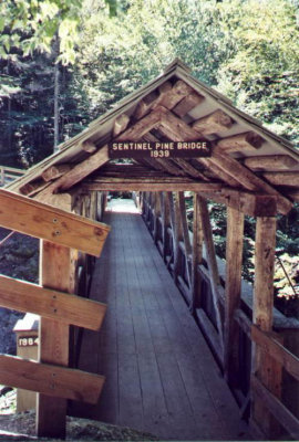 Sentinel Pine Bridge Portal