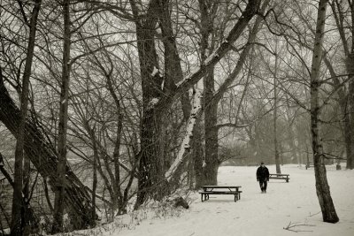 PROMENEUR SOLITAIRE