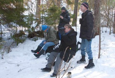 Siberian Jay in Uppland