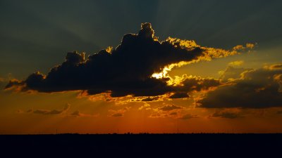 P1050008.jpg